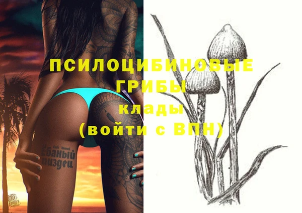 твердый Касимов